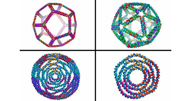 Design of complex DNA shapes
