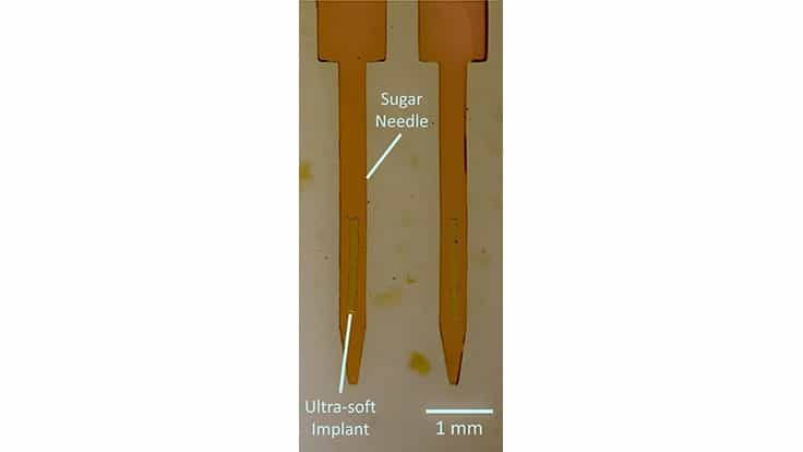 When surgically inserted into the brain, the sugar needle carried the implant to the right location, and dissolved within seconds, leaving the delicate implant in place.