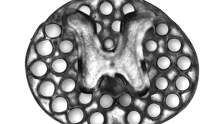 A 3D printed, 2mm implant (slightly larger than the thickness of a penny) used as scaffolding to repair spinal cord injuries in rats. The dots surrounding the H-shaped core are hollow portals through which implanted neural stem cells can extend axons into host tissues. 