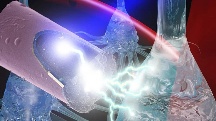 A laser shining onto an untethered, ultra-small carbon fiber electrode to stimulate neurons via the photoelectric effect.