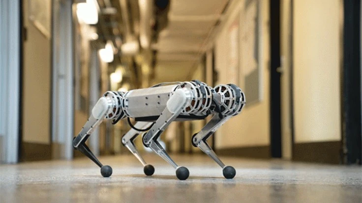MIT’s new mini cheetah robot is springy, light on its feet, and weighs in at just 20 pounds.