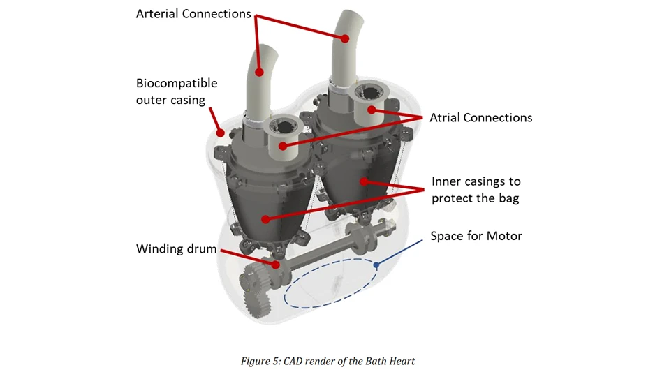 Team Bath Heart (TBH)