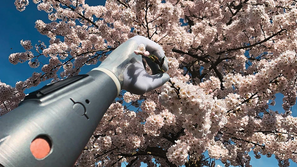 Adam's Hand prosthesis